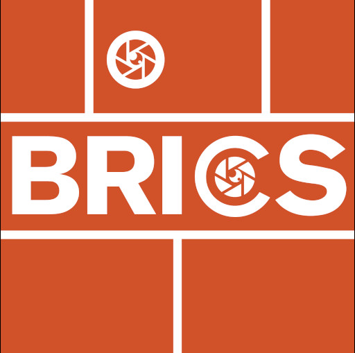 BRICS Logo